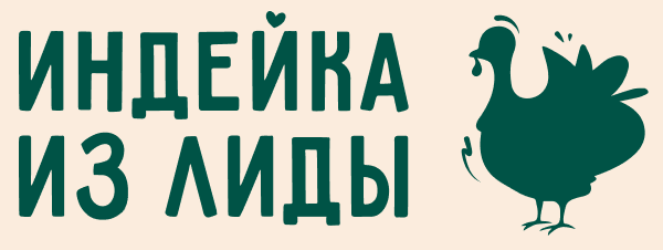 Индейка из Лиды popup logo
